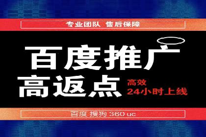 成功SEM竞价托管案例分析报告